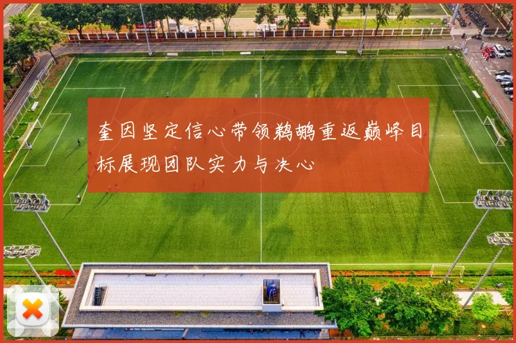奎因坚定信心带领鹈鹕重返巅峰目标展现团队实力与决心