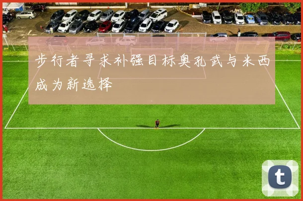 步行者寻求补强目标奥孔武与米西成为新选择