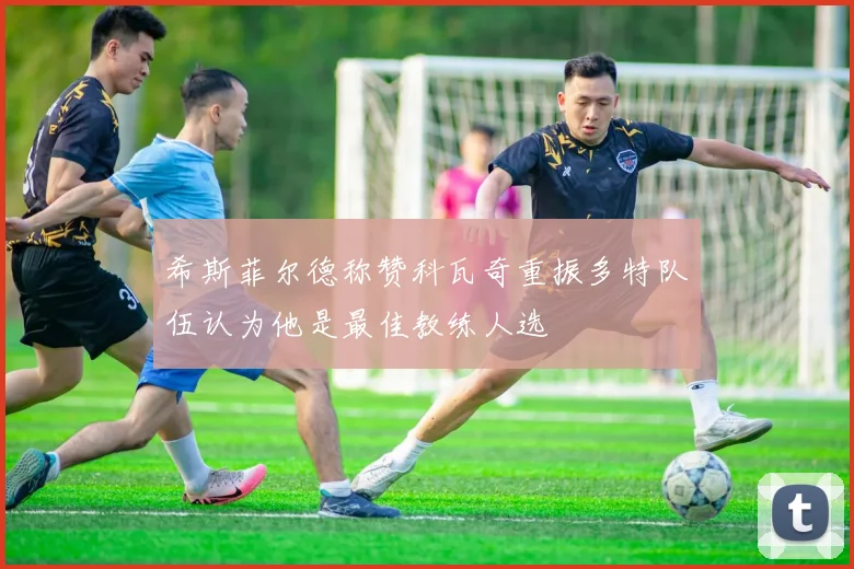 希斯菲尔德称赞科瓦奇重振多特队伍认为他是最佳教练人选