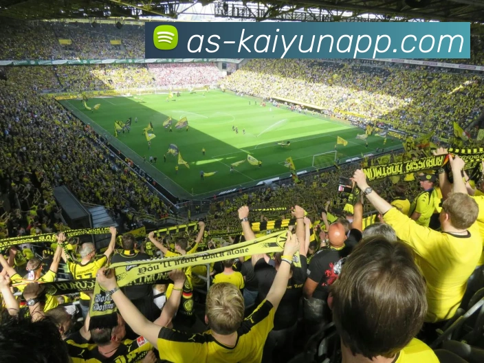 开云体育APP 高清赛事图